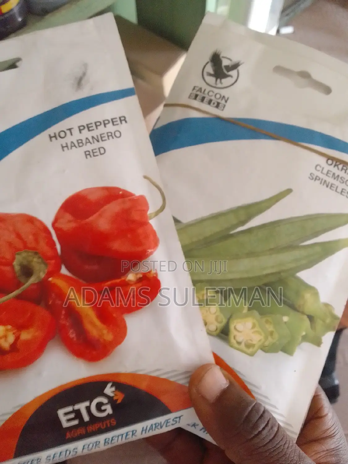 Vegetables Seeds