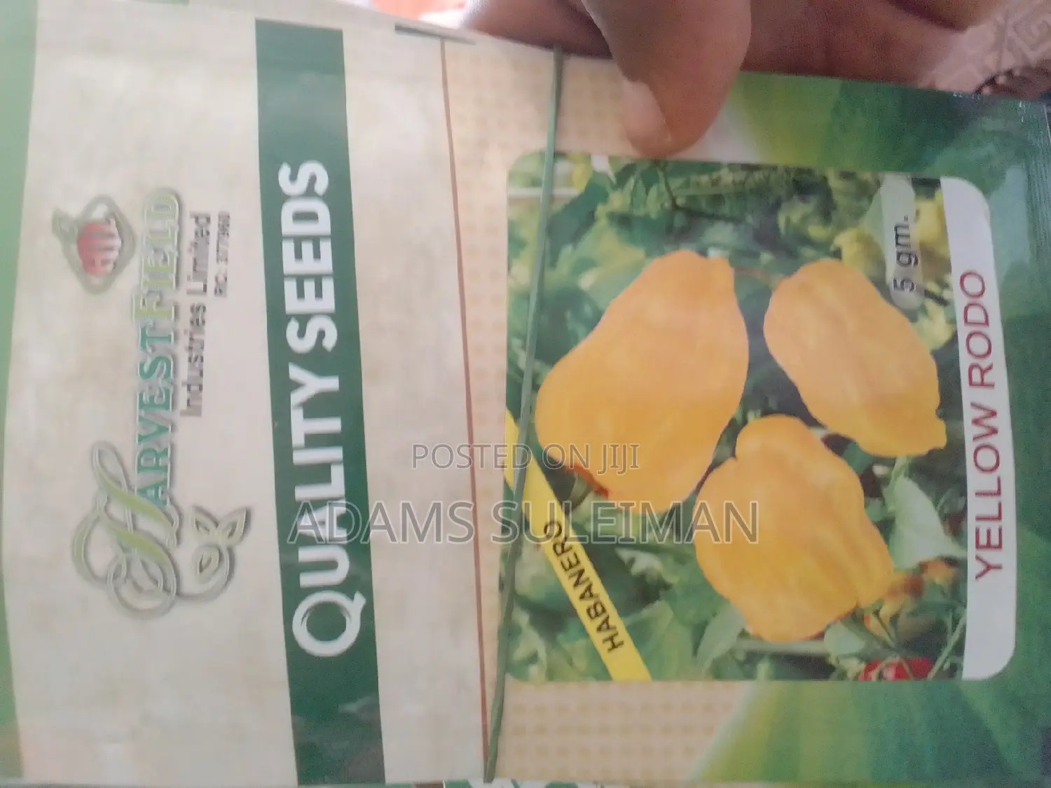 Vegetables Seeds