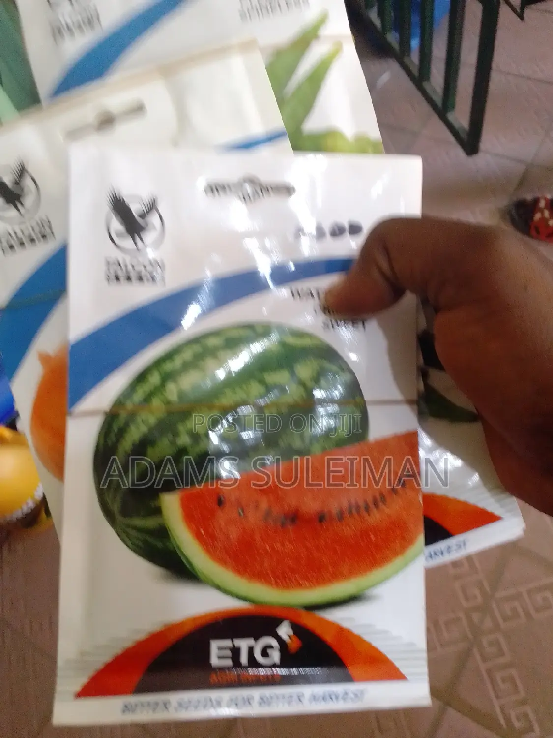 Vegetables Seeds