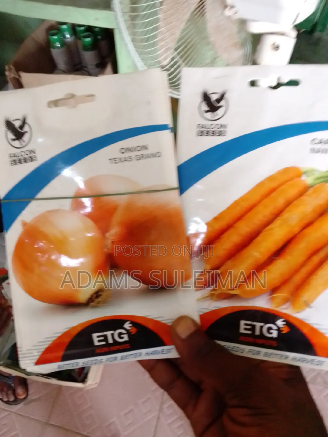 Vegetables Seeds