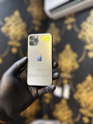 Apple iPhone 11 Pro Max 64 GB Gray