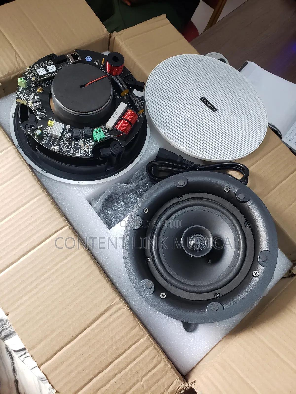 2 In 1 Wifi Bluetooth Ceiling/Pop Speakers