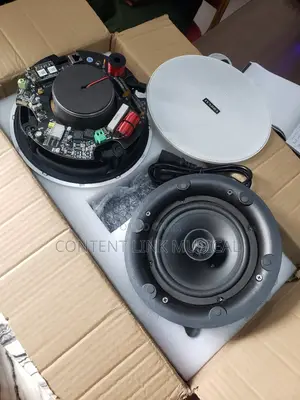 2 In 1 Wifi Bluetooth Ceiling/Pop Speakers
