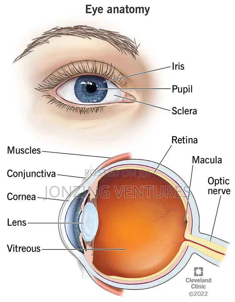 Regain Your Sight in Few Days