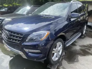 Mercedes-Benz M Class 2014 Blue