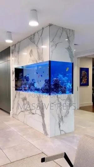 Photo - Aquariums and Fish Tank