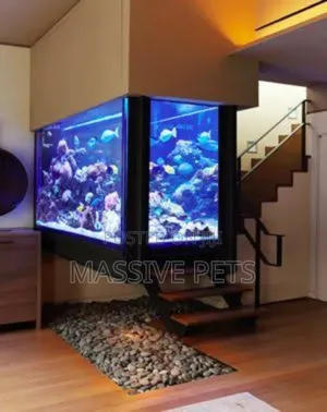 Photo - Aquariums Exotic