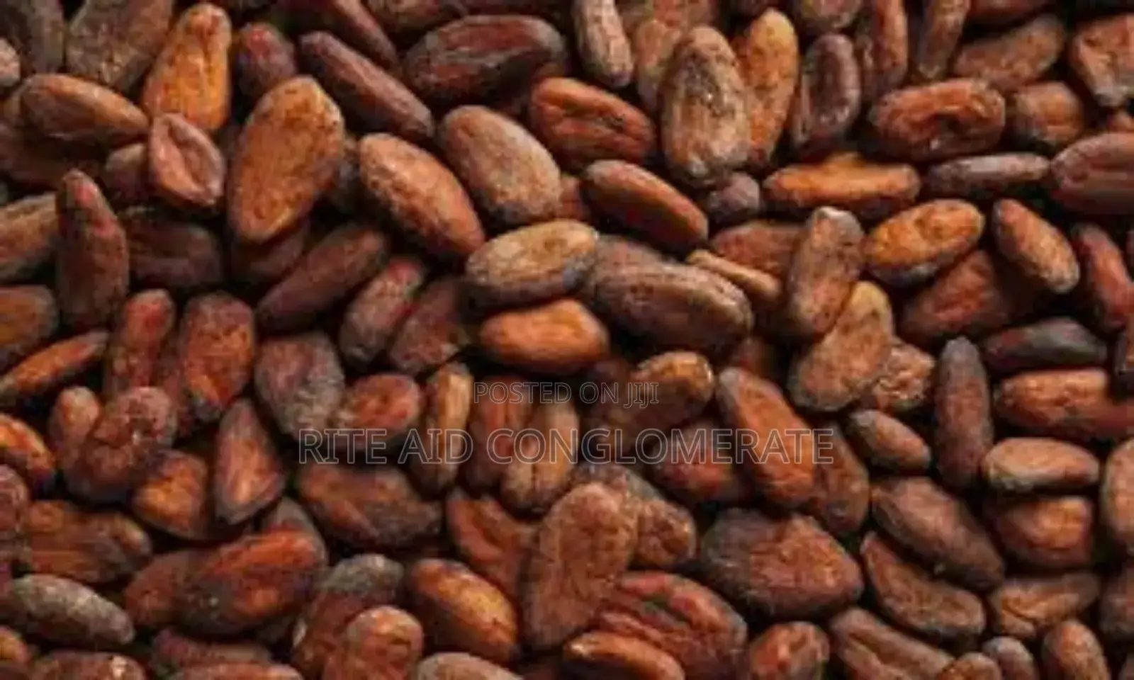Cocoa Graded [ Grade Aaaa]