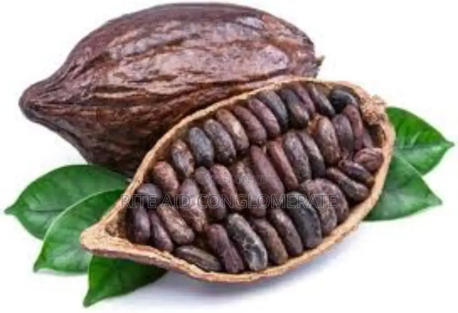 Cocoa Graded [ Grade Aaaa]