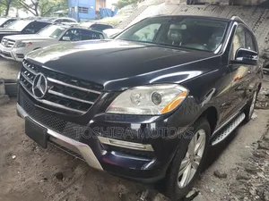 Mercedes-Benz M Class 2014 Blue