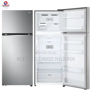Lg Gn-B392plgb 395l Top Freezer Refrigerator