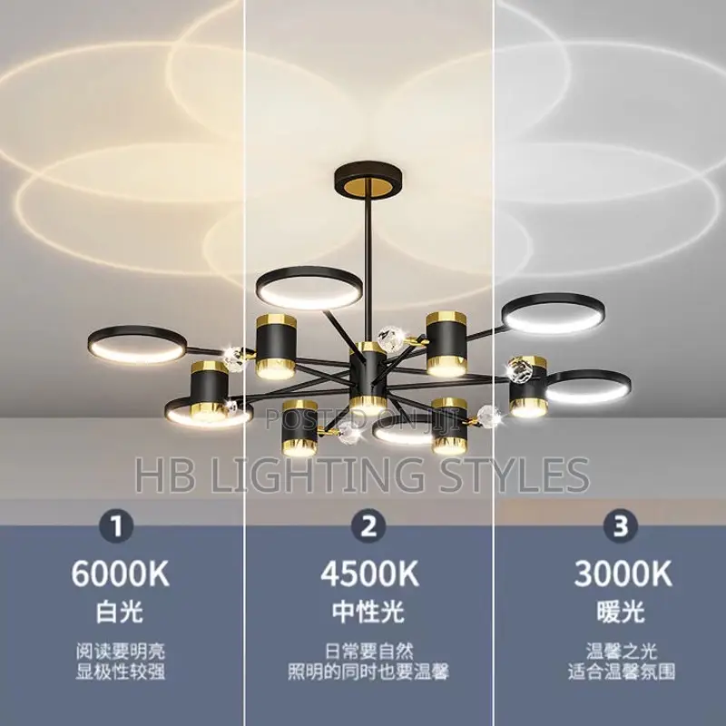 Nordic Black Starry Ceiling Chandelier Light