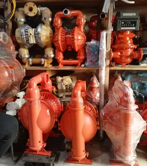 Wilden Pump and Parts
