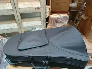 Professional Gold Euphonium