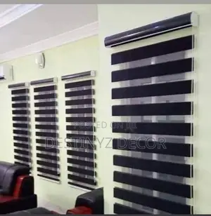 Fashionable Window Blinds