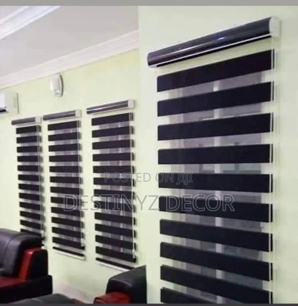 Fashionable Window Blinds