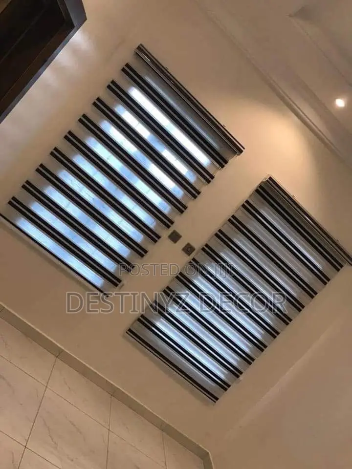 Fashionable Window Blinds