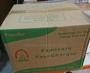 Photo - Famicare Fast Battery Charger 50ah