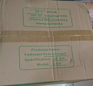 Photo - Famicare Fast Battery Charger 50ah