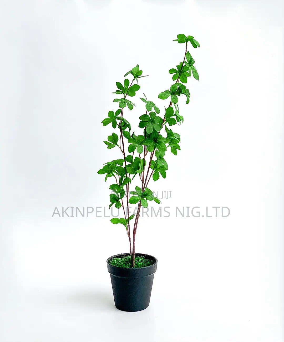Interior/Exterior Artificial/Life Flowers