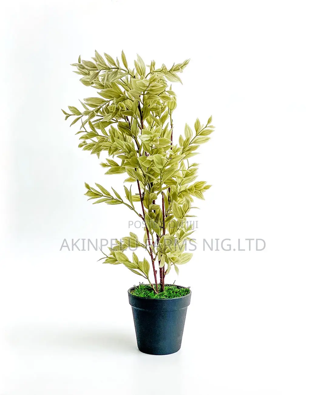 Interior/Exterior Artificial/Life Flowers