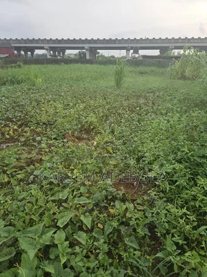 Waterfront Land at Banana Island Ikoyi Lagos