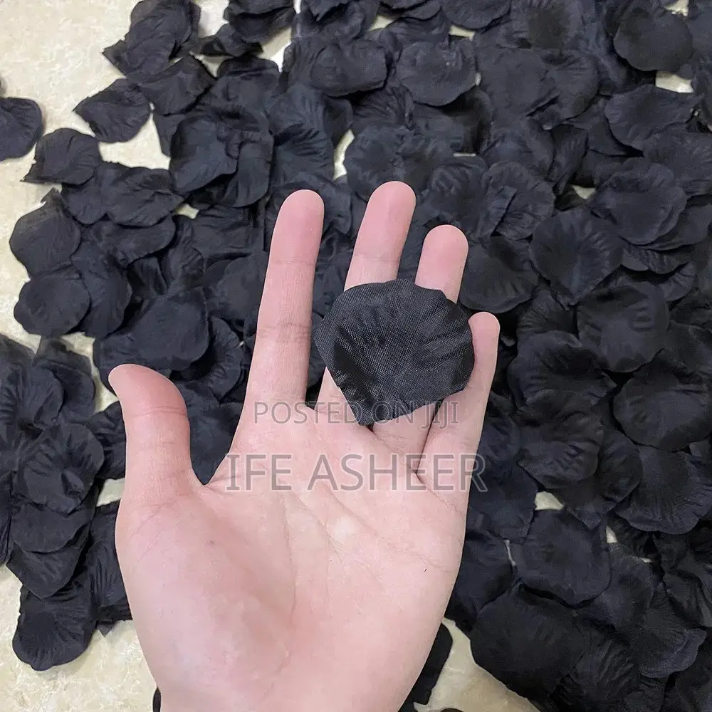 Black Petals - 300pcs in a Pack