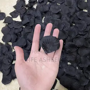 Black Petals - 300pcs in a Pack