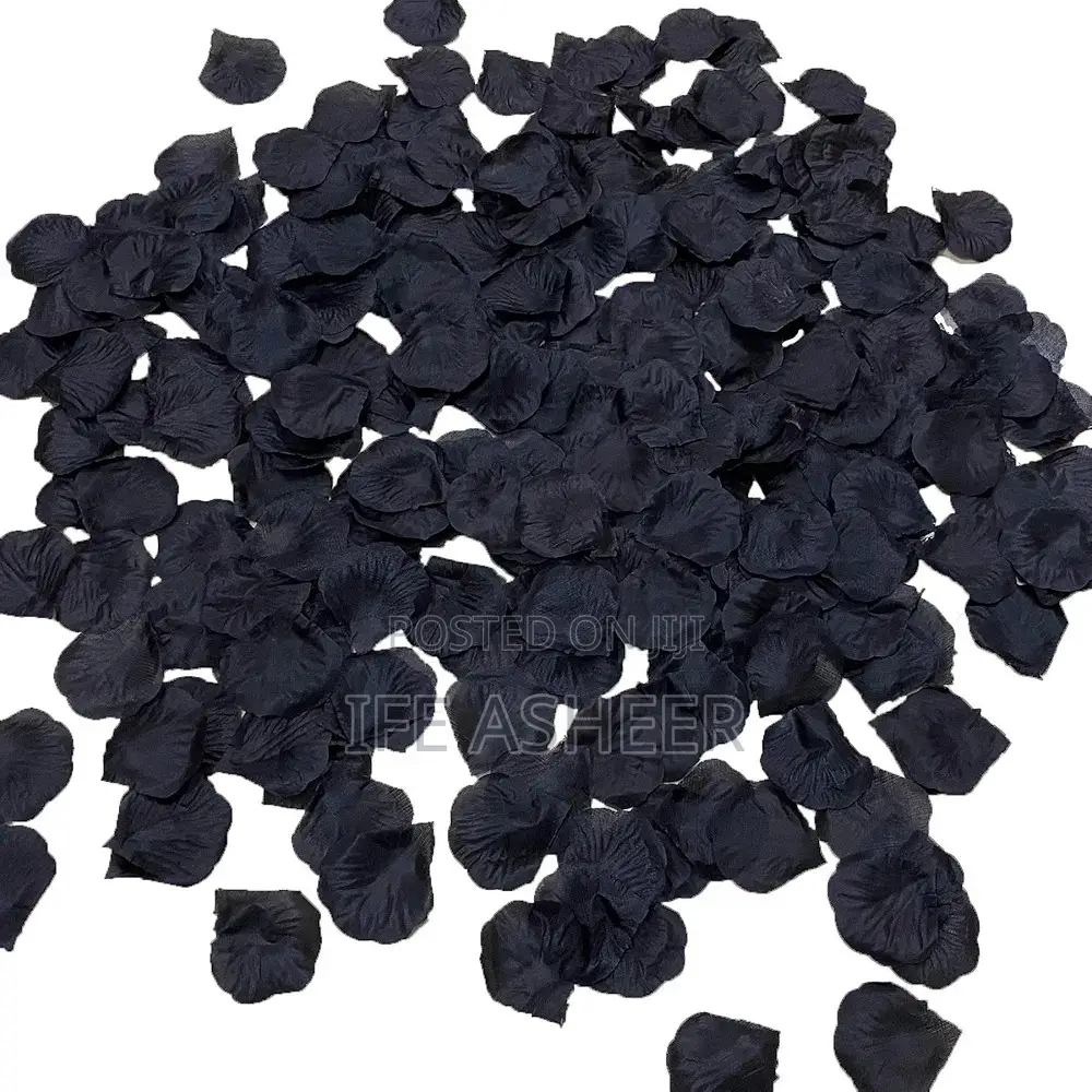 Black Petals - 300pcs in a Pack