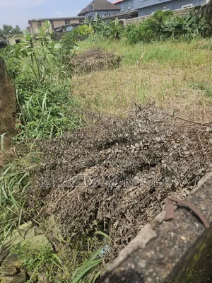 Residential Land at Aerodrome Gra Samonda Ibadan