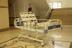 Electric Bed Three Functions