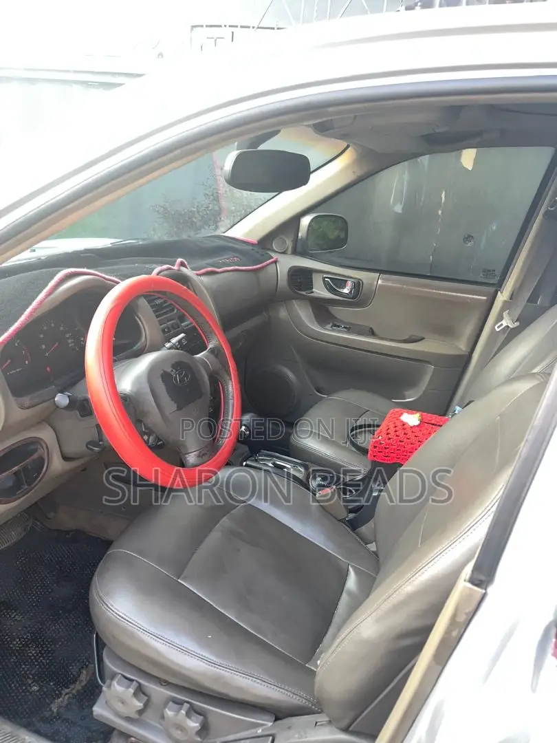 Hyundai Santa Fe 2004 Silver