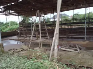 Photo - An Abandoned Poultry Farm On 20 Acres Of Land At Ilorin