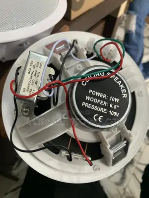 Standard Ceiling Speaker (20 Watts)
