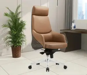 Ergonomic Executive Director Office Chair