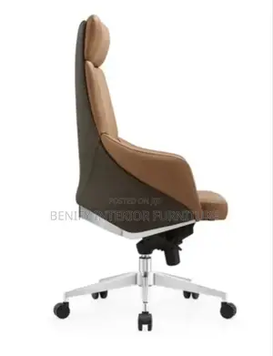 Ergonomic Executive Director Office Chair