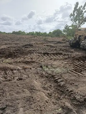 30 Plots of Land