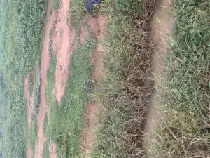 Urban Silvergate Homes, Asokoro Extension