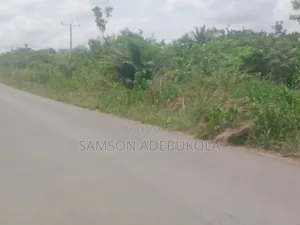 20000 Acres of Land With C of O in Iseyin, Beside Lautech