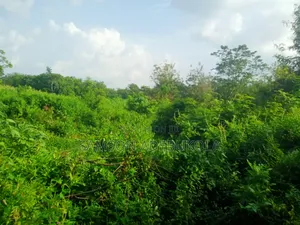 20000 Acres of Land With C of O in Iseyin, Beside Lautech