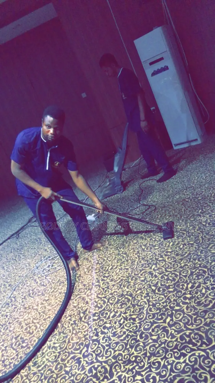 Professional Cleaning Service