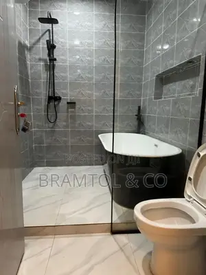 Furnished 3bdrm Townhouse / Terrace in Wuse 2 for rent
