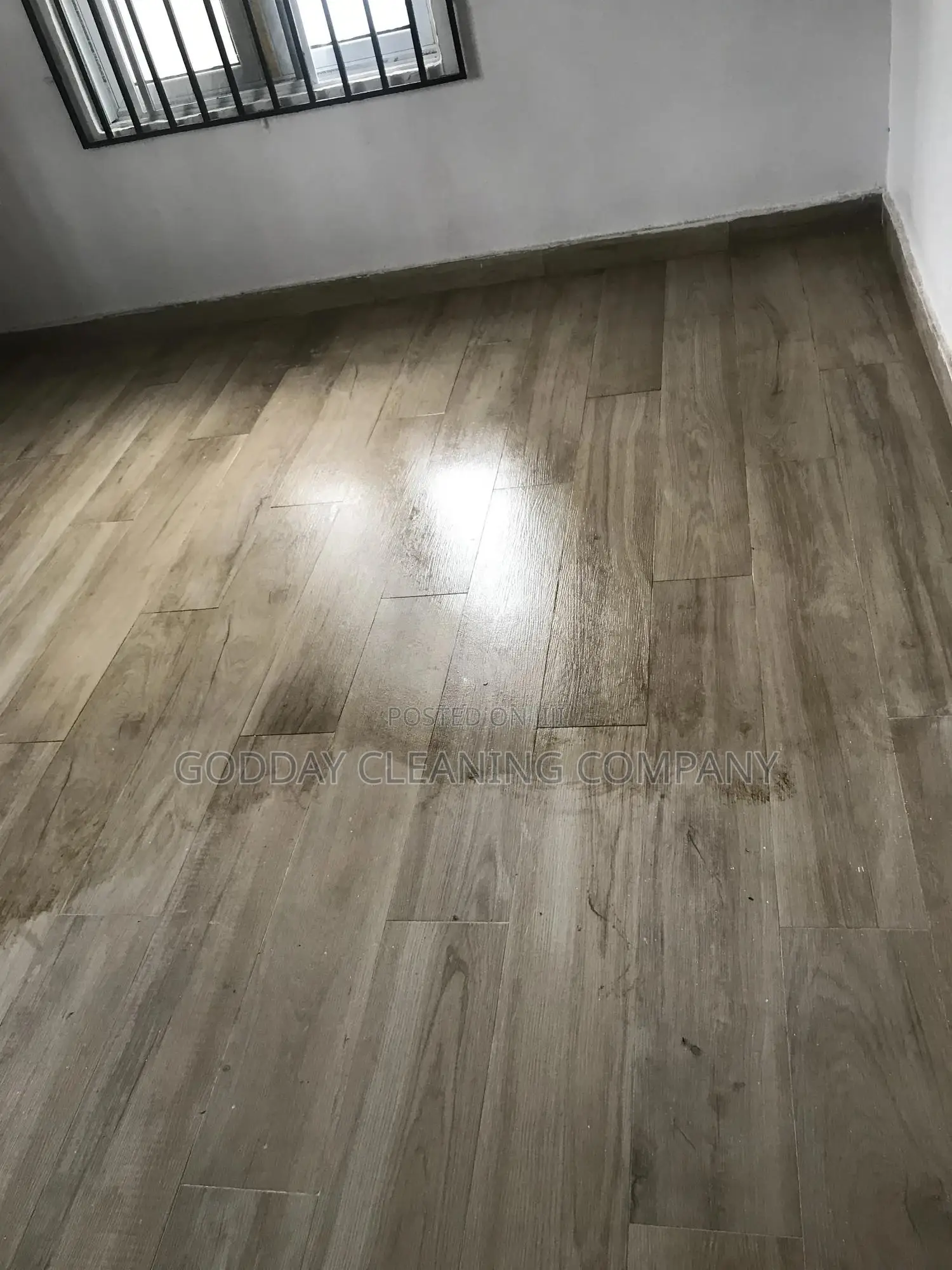 Professional Cleaning Service