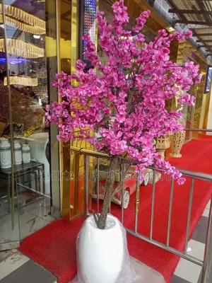 Flower Plants