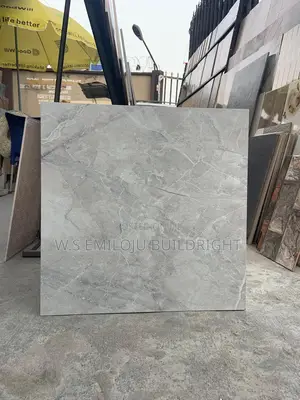 This Are 60/60 Matte Surface for Decorate Your Floor Area