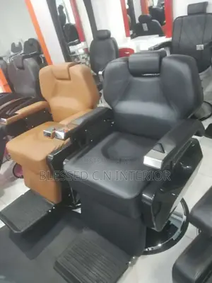 Fantastic Salon VIP Chair