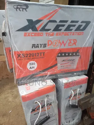 220A 12V Exceed Power Tubular Battery