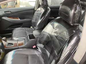 Lexus ES 350 2010 Gray