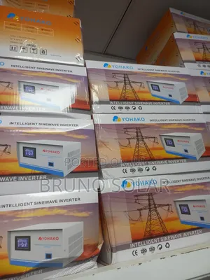 1000w Intelligent Inverter 12v