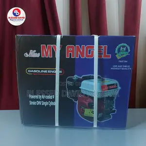 Angel Grinding Engine GX200 With Oil Alert